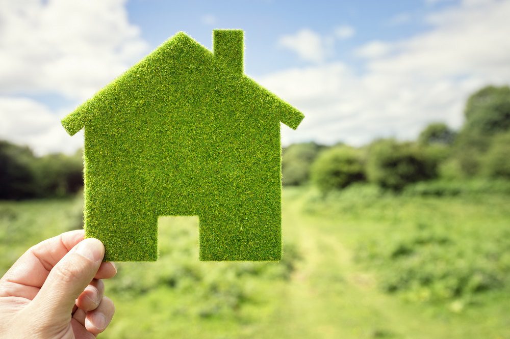 Environmentally Friendly Roofing Options Go Green with Your Roof